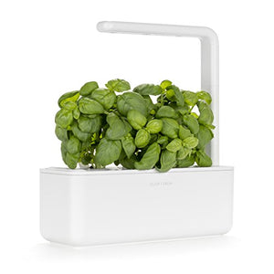 Smart indoor herb garden kit with LED grow light on kitchen counter