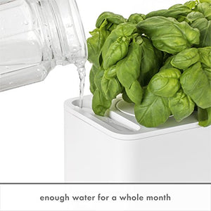 Herb garden grow kit lifestyle kitchen shot